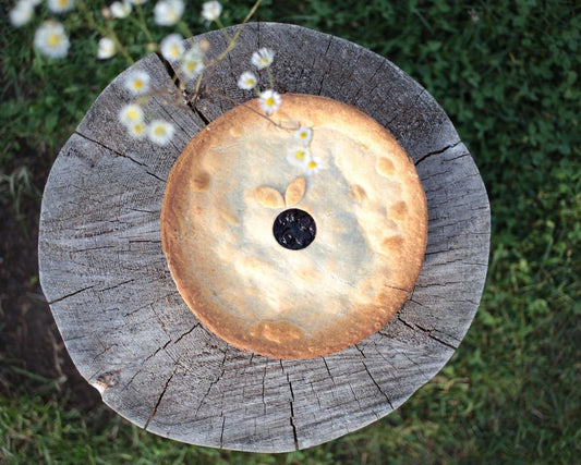 Homemade blueberry pie