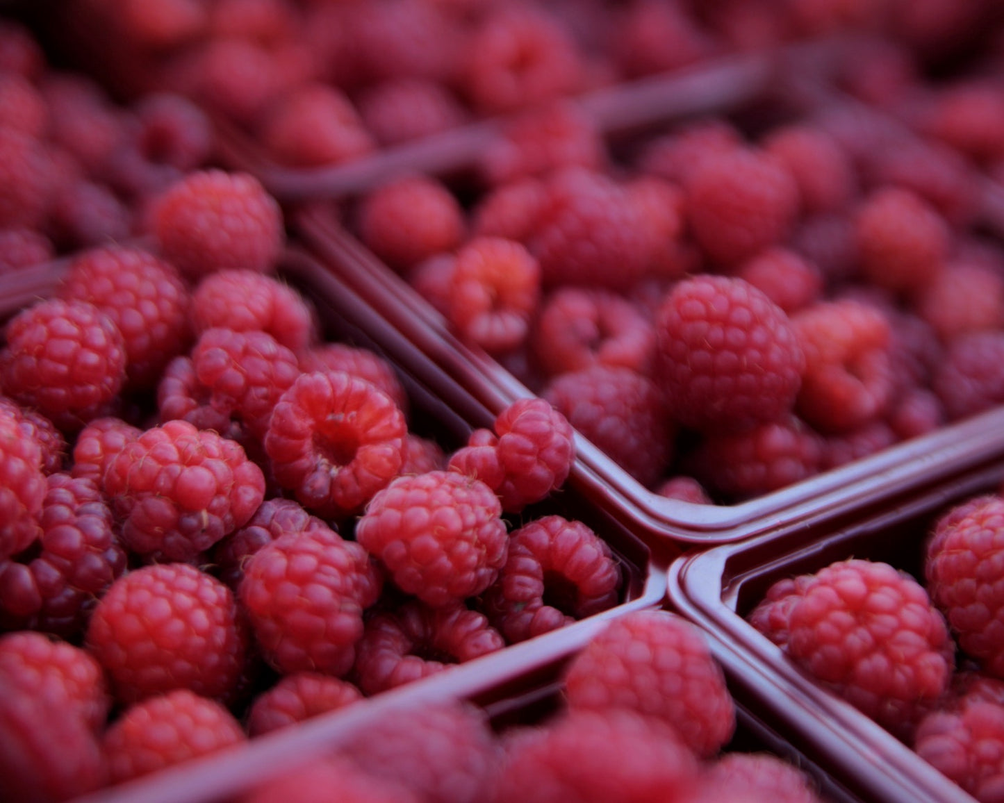 Frozen Raspberries